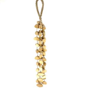 seedpod rattle